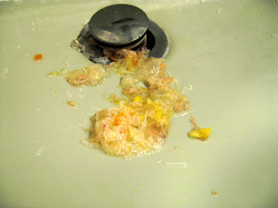 pregnancy vomiting food stomach acid during undigested puke sample pile